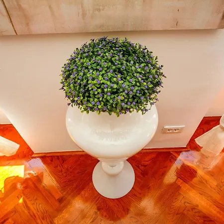 Piazza Dei Signori Penthouse